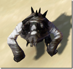 Masked Lobel Front[3]